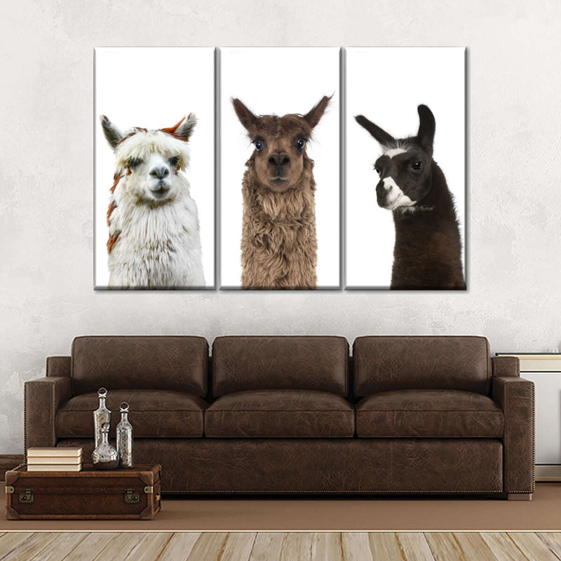 Ensemble de 3 couleurs d'alpaga sur toile 3 pièces, H 24 po x l 38 po x P 1,25 po