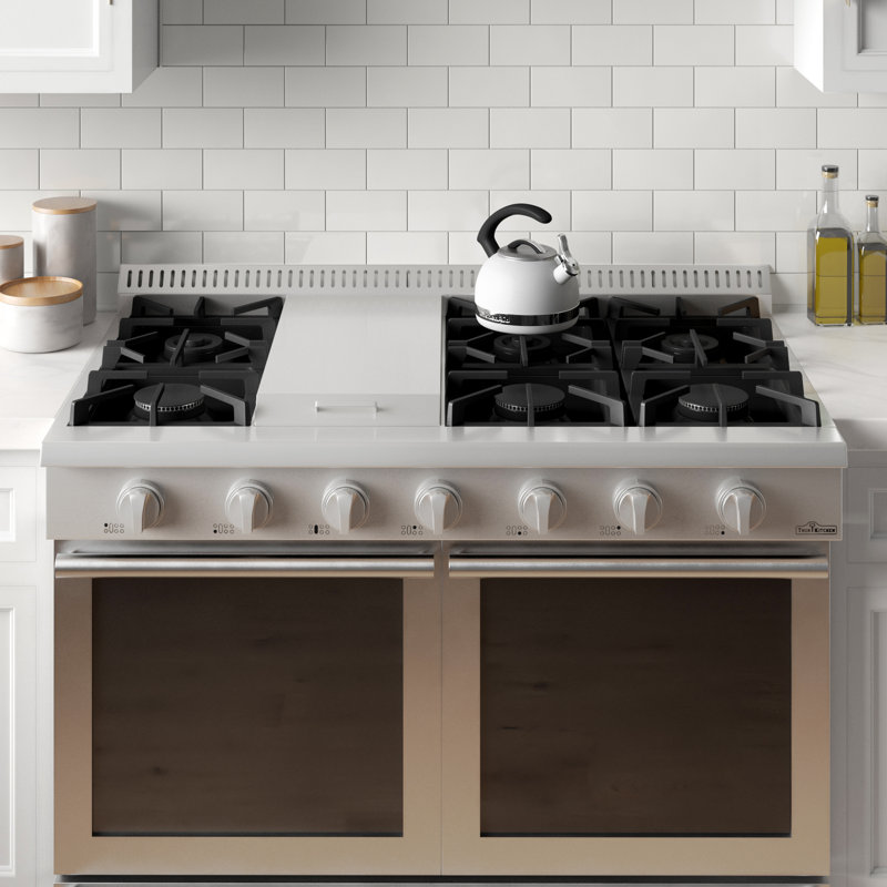 Plaque de cuisson professionnelle au gaz 48 po avec 6 brûleurs