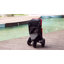 Poussette pliable avec support amovible