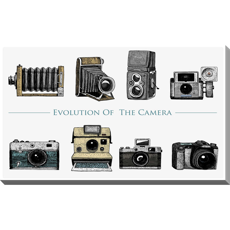 " Cameras ", 36" H x 60" W x 1.5" D