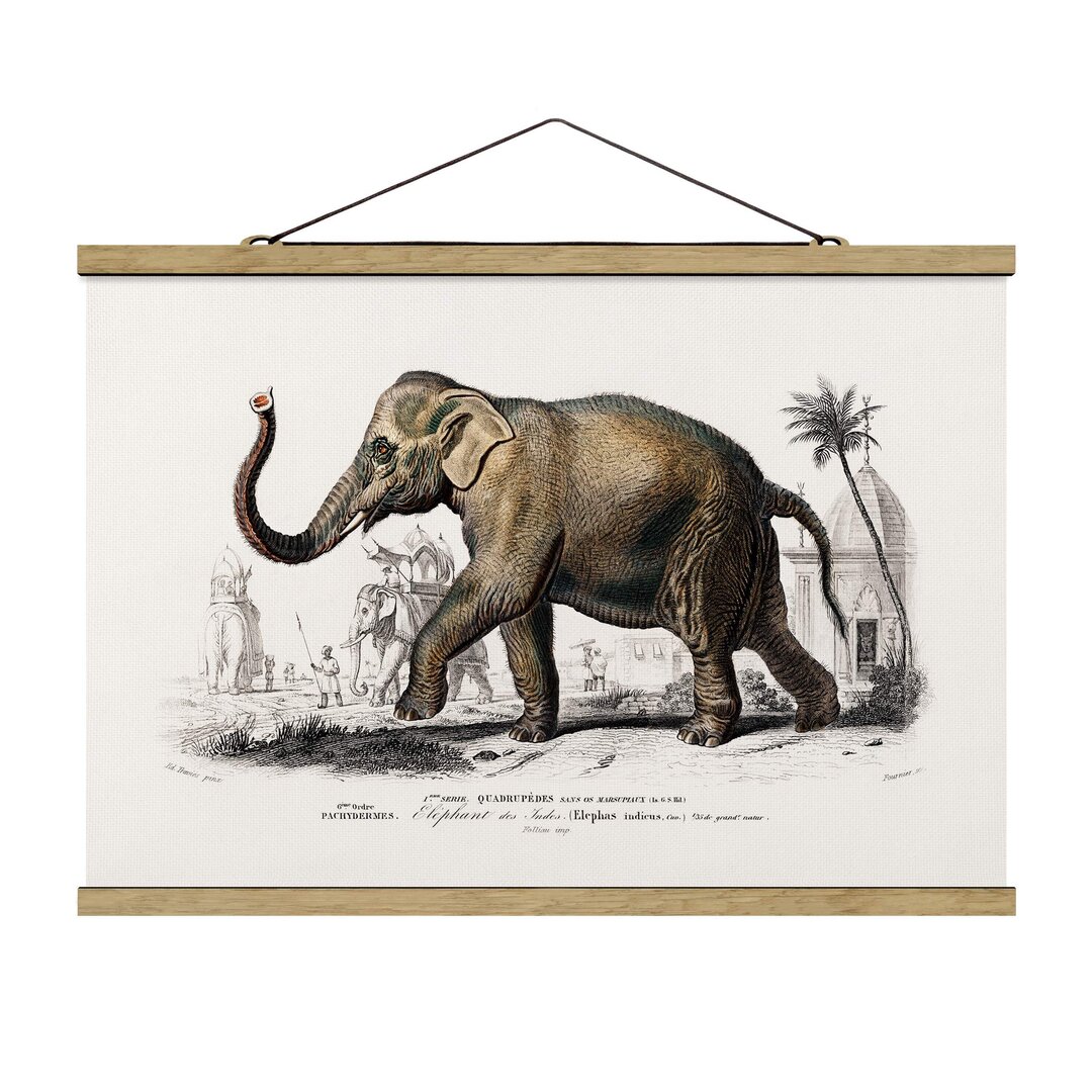 Stoffbild Vintage Lerntafel Elefant