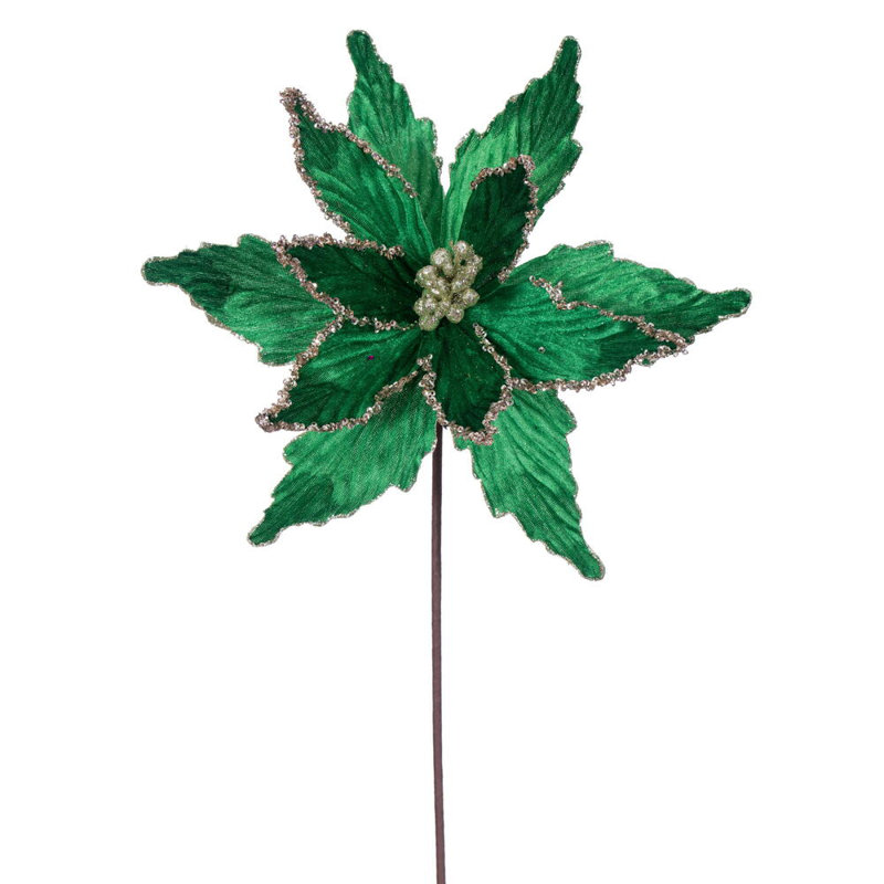 Tiges de poinsettia Cliffo, Vert minuit