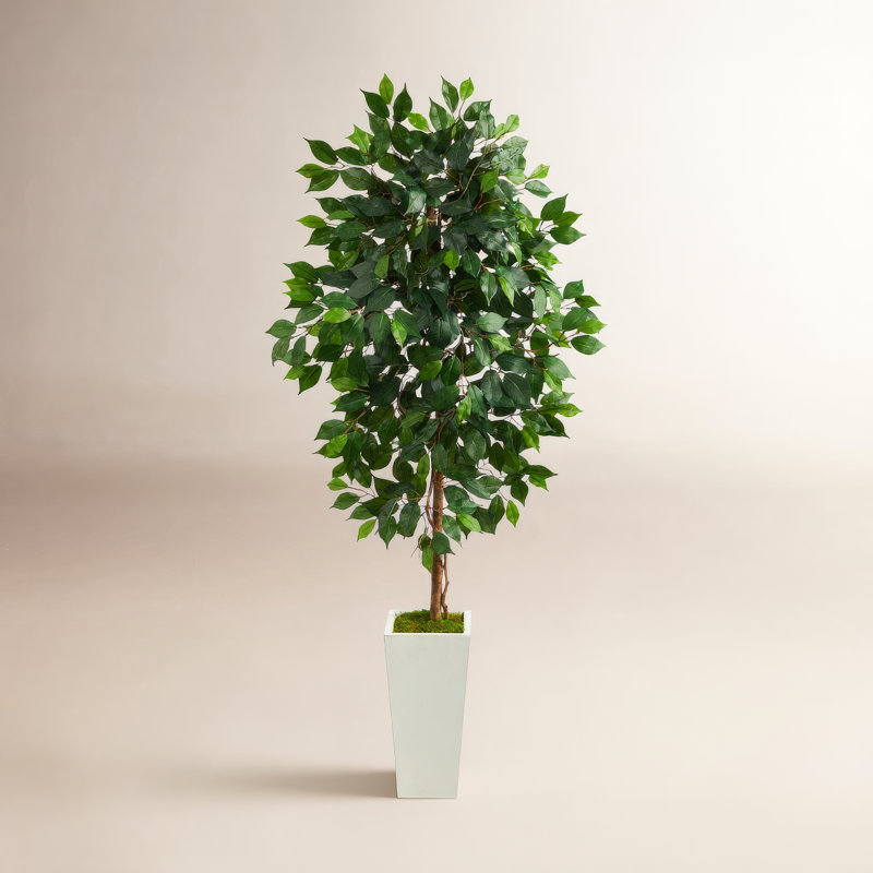 Arbre ficus artificiel en pot, H 54 po x l 21 po x P 19 po, Blanc