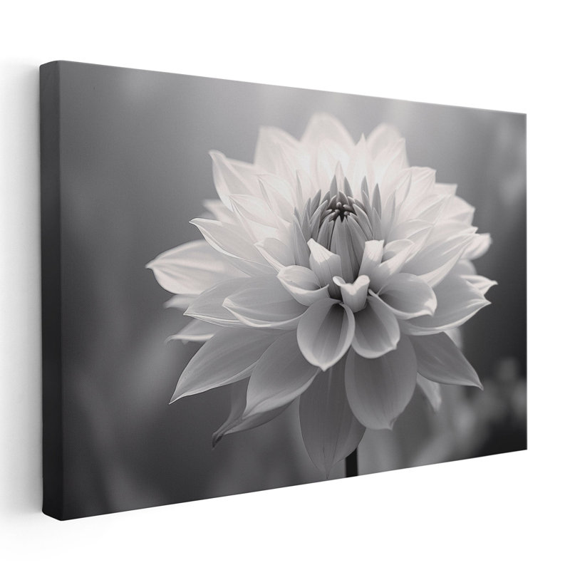 Douceur en monochrome, impression d'art mural, Papier non encadré, H 12 po x l 18 po x P 0,02 po