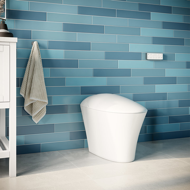 Toilette de bidet intégrée iWASH CS-22 (comprend le siège et la cuvette)