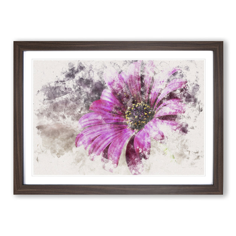 Purple Daisy - Picture Frame Graphic Art Print, Walnut Framed, 45cm H x 63cm W x 2cm D