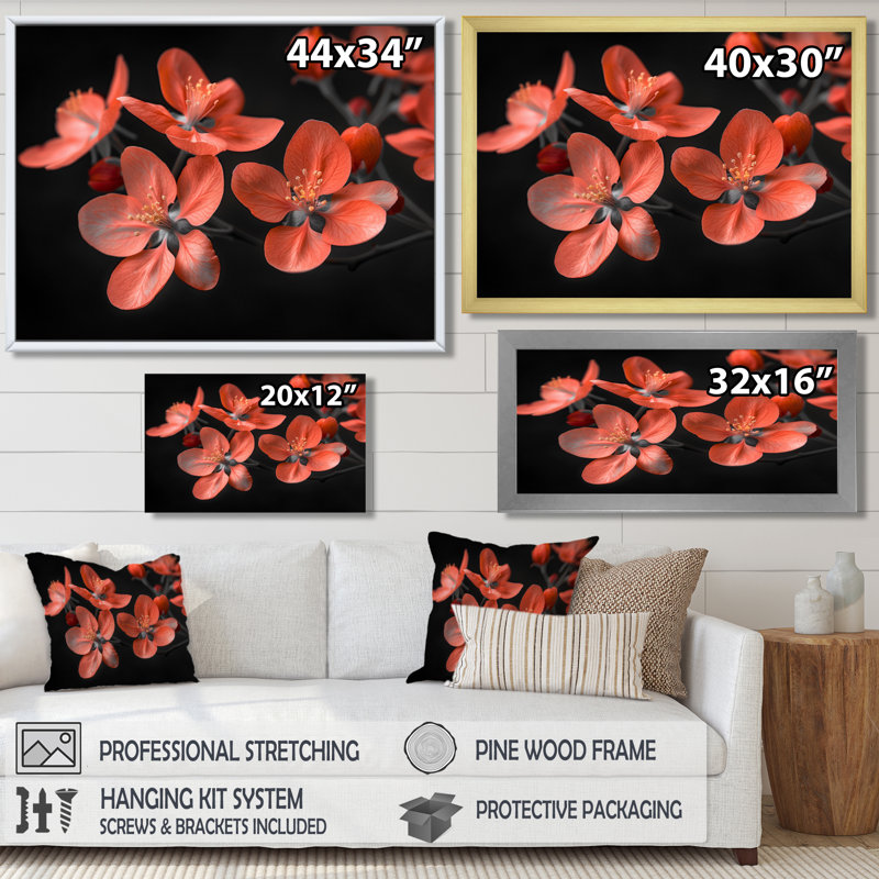 Décoration murale Mote - fleur de pommier, H 30 po x l 40 po, Toile tendue