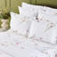 Gaura Bedrunner