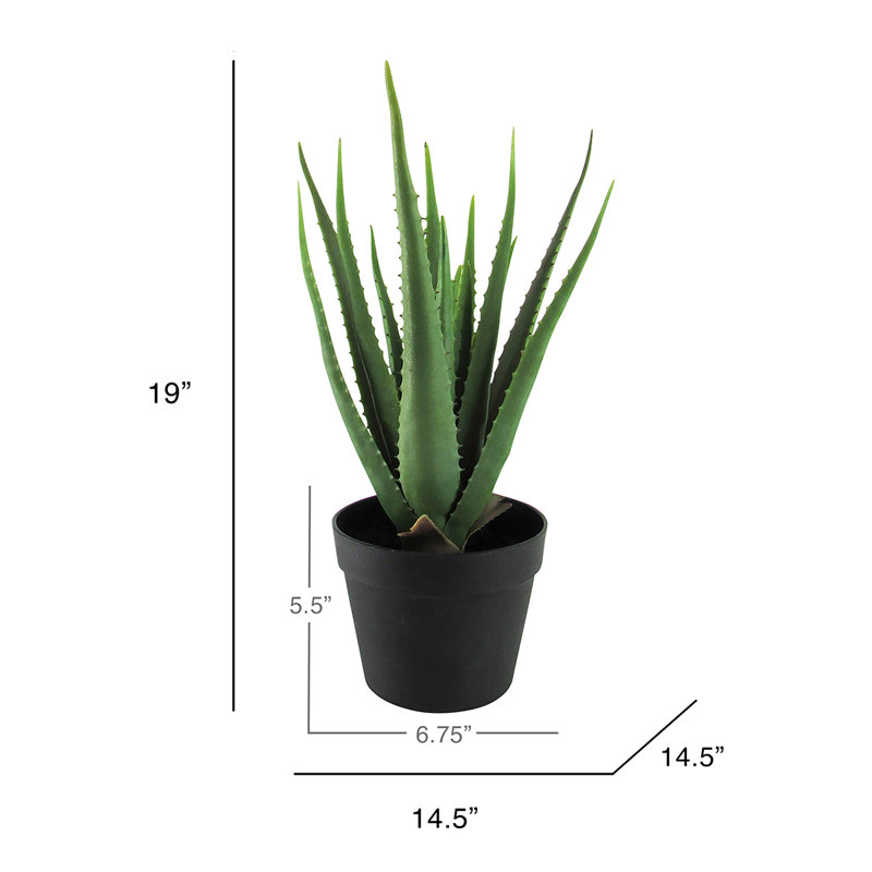 Faux Succulent Plant in Pot, 19" H x 14.5" W x 14.5" D