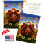 Polyester 2 faces 40 x 28 po ensemble de drapeaux