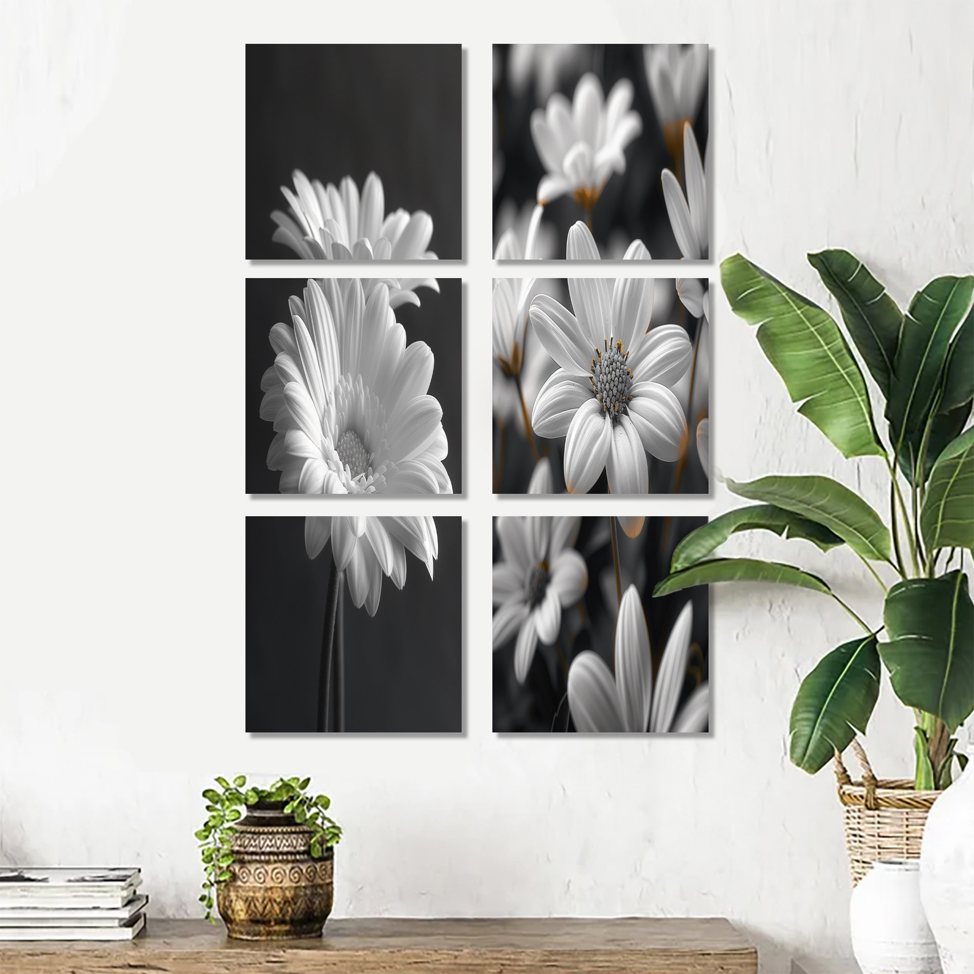Latitude Run® Monochrome Black And White Bliss Daisy Photo - Daisies ...