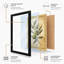 Olive Branch Study Botanical - Framed Print-1887186513-1887186526