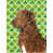 Retriever de la Baie de Chesapeake sélectionné