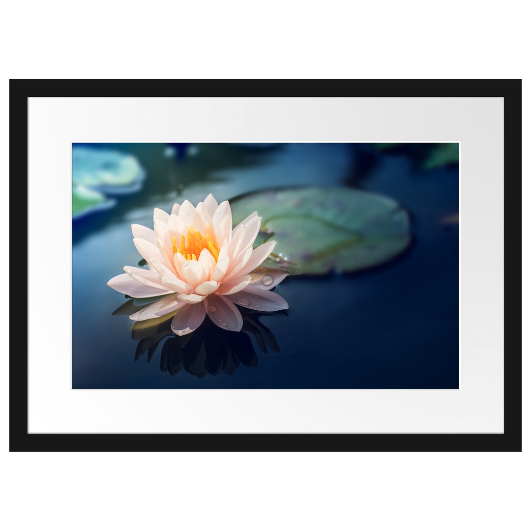 Gerahmtes Poster Eine rosa Lotusblume in Teich