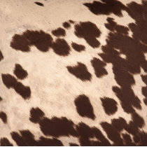 Genuine Cowhide Material Offcuts - for Arts and Crafts