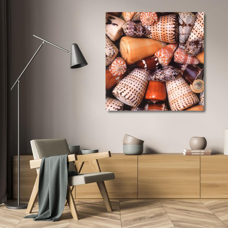 Cone Shells, 20" H x 20" W