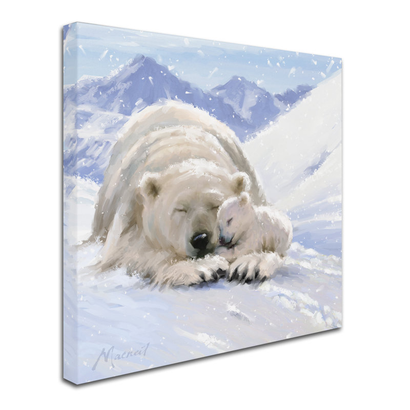 Armand 'Bearcub Square' Print on Canvas, 35" H x 35" W x 2" D