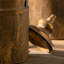  Vase rustique à deux poignées-129172028-133630271