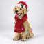 Christmas LED Lights Figurine