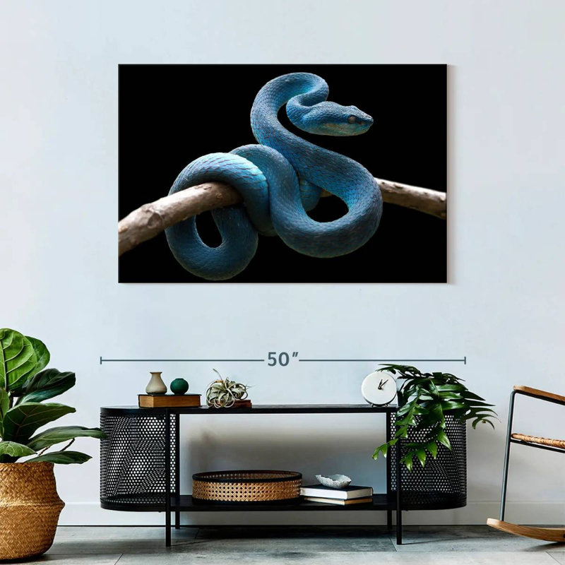 Brampt Blue Viper Snake, 30" H x 45" W