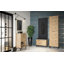 Hansell 6 Pair Shoe Storage Cabinet