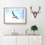 Flying Atlantic Puffin Bird - Picture Frame Graphic Art Print-56713479-56713480