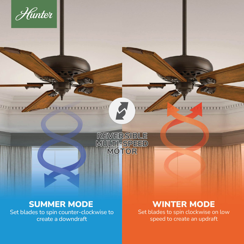 60" Fellini 5 - Blade Standard Ceiling Fan with Wall Control