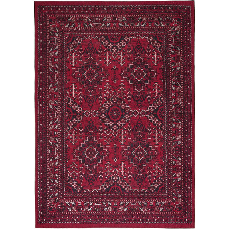 Sroda Washable Oriental Indoor Rug, Rectangle 8' x 10'