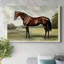 Animaux, paysage, série CCVII-618512963