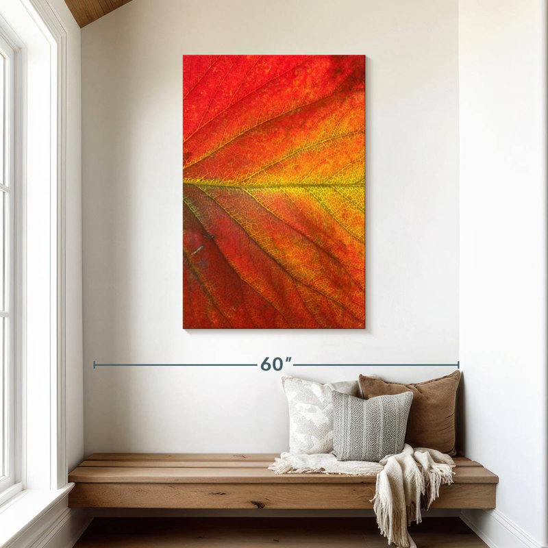 Harnek Autumn Strawberry Leaf, 45" H x 30" W
