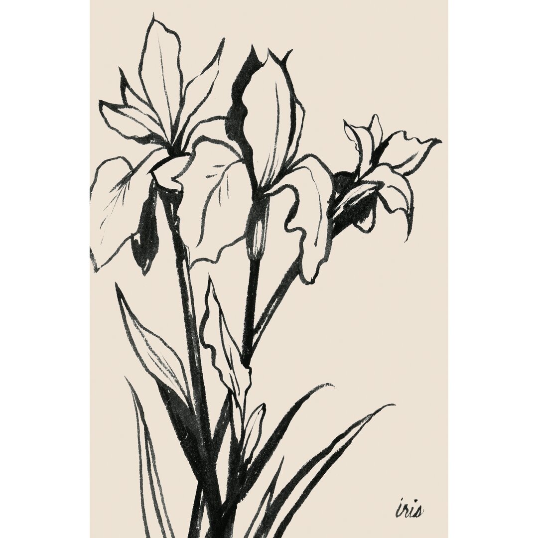 Leinwandbild Iris Sketch III von Grace Popp