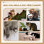 Kenia 46cm H Cat Tree
