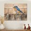 Bluebird On The Farm Fence I - Décoration murale en bois d'oiseau - sur bois de pin naturel-1191047458