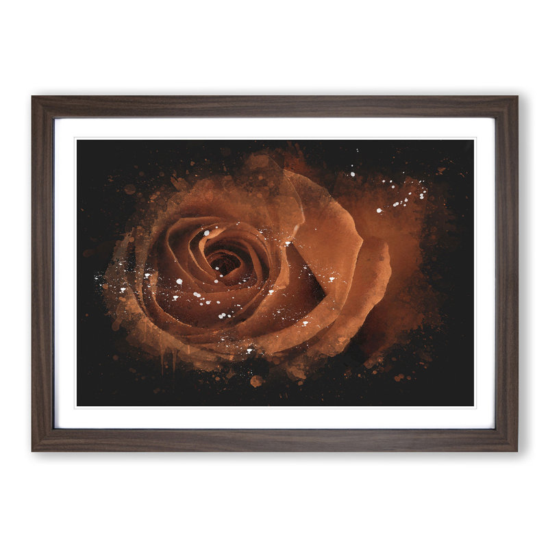 Orange Rose - Picture Frame Graphic Art Print, Walnut Framed, 33cm H x 45cm W x 2cm D
