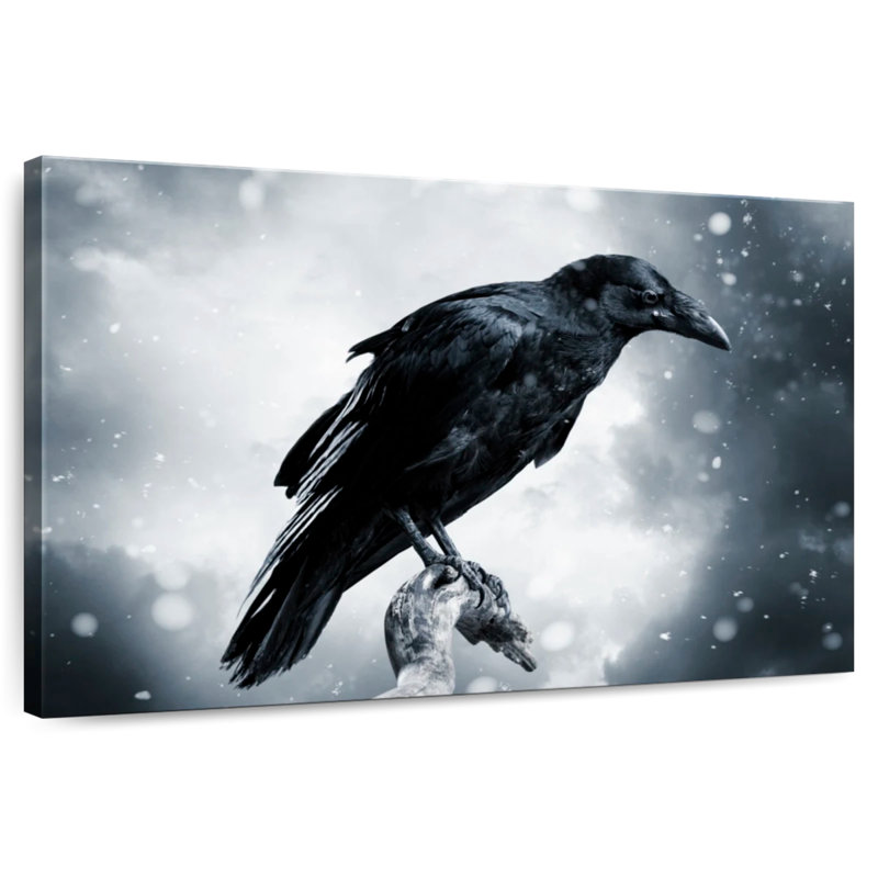 Corbeau noir Brampt, H 32 po x l 48 po