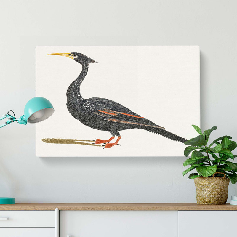 Water Bird by Johan Teyler - Wrapped Canvas, 40cm H x 60cm W x 3cm D