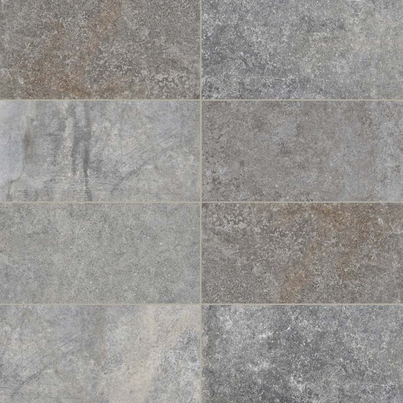 Carreau de porcelaine mat 12 "x 24" The Wilds, Argent