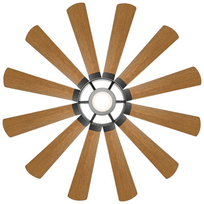 Ventilateur de plafond intelligent à DEL 65 pouces à 12 pales et à intensité variable avec télécommande et ensemble d'éclairage inclus