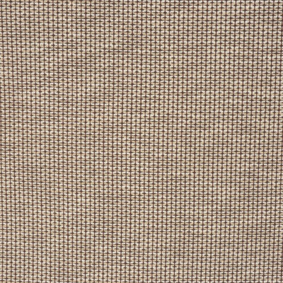 Allure Fabric