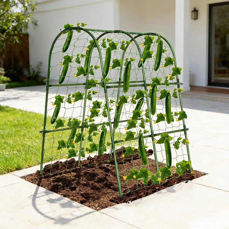 Treillis de jardin d'escalade pour plantes grimpantes
