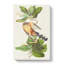 Mangrove Cuckoo by John Audubon - Wrapped Canvas-55362845