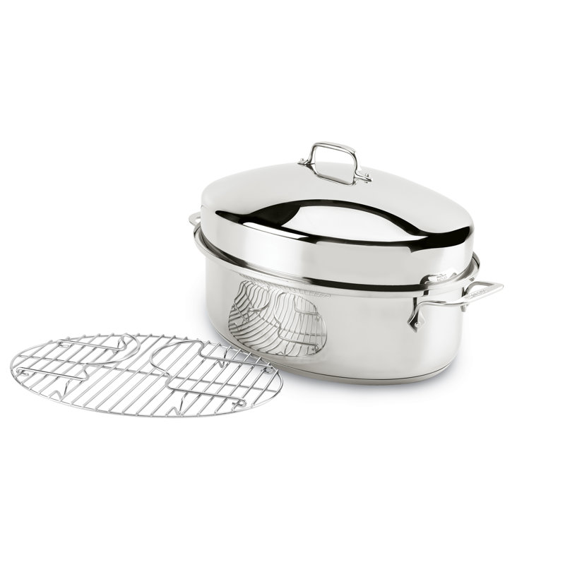 All-Clad Specialty 19.5 in. Stainless Steel Roasting Pan