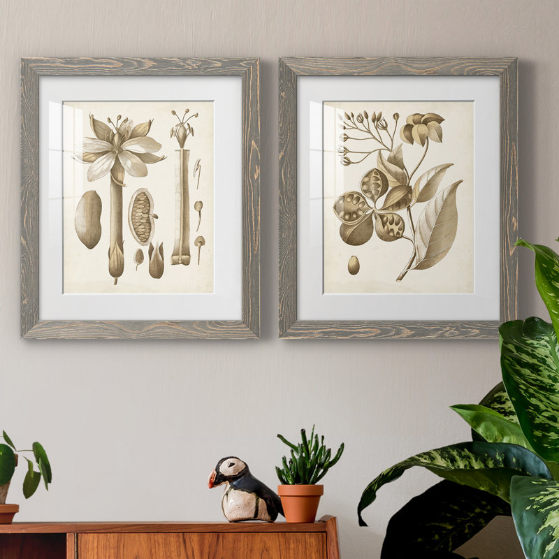 Impression encadrée botanique ocre - prêt à accrocher, Cadre en papier gris, H 24 po x l 36 po x P 1,5 po, Blanc
