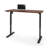 Adjustable Standing Desk-443380251-443380252