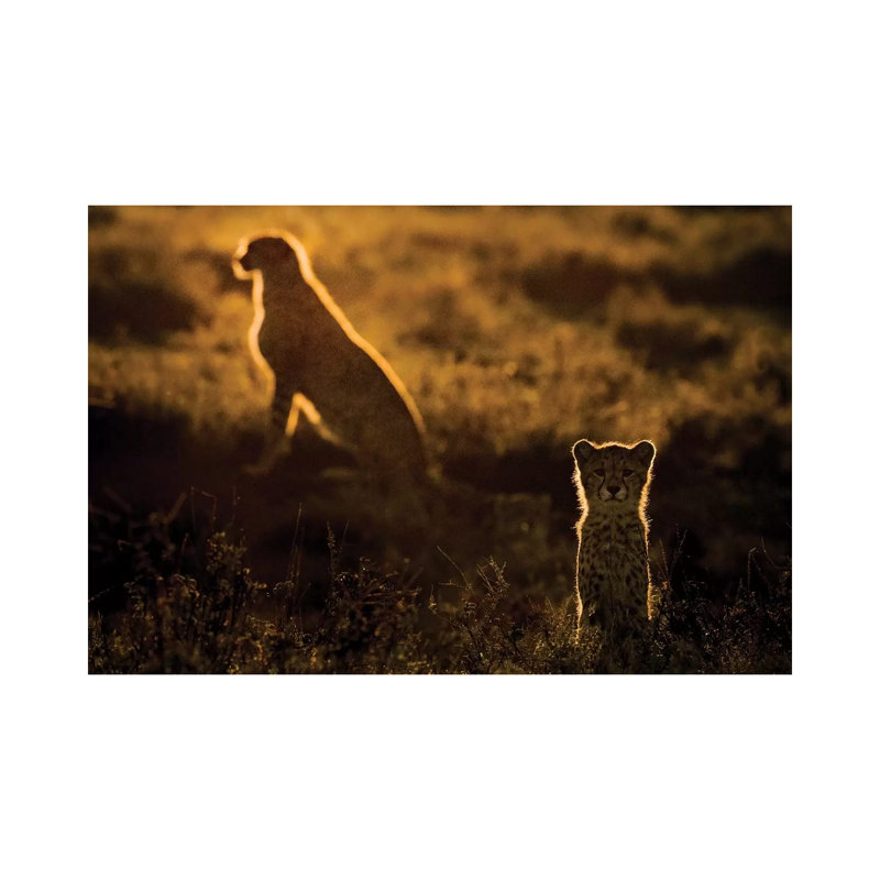 Africa, Tanzania, Ngorongoro Conservation Area. Adult And Young Cheetahs At Sunset. by Jaynes Gallery - Wrapped Canvas Painting