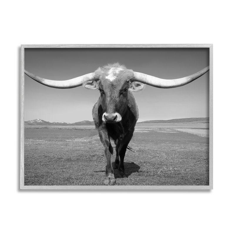 Longhorn en campagne par Steve Toole, L 20 po x H 16 po, Estampe numérique Farmhouse