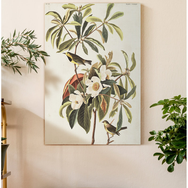 « Pl 185 Bachman’s Warbler », reproduction d’art sur toile, H 27 po x l 18 po x P 1 po