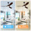 Ceiling Fan with LED Lights-1862298071-1856437298