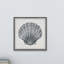 «Pretty Grey Shell», reproduction encadrée-1203747088