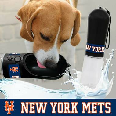 New York Mets Pet Gear, Mets Collars, Chew Toys, Pet Carriers